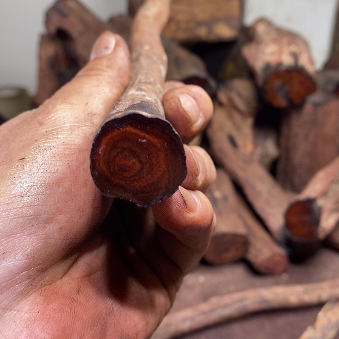 平***生有机玻璃在线阅读量