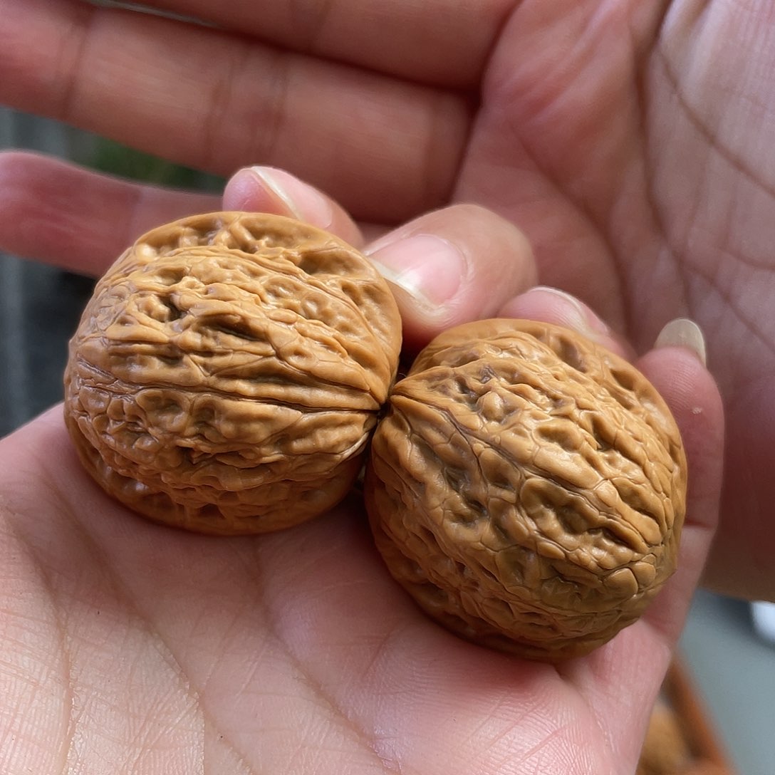 桃核把件35×35×35尺全品原桩铁锤CN01142已打底