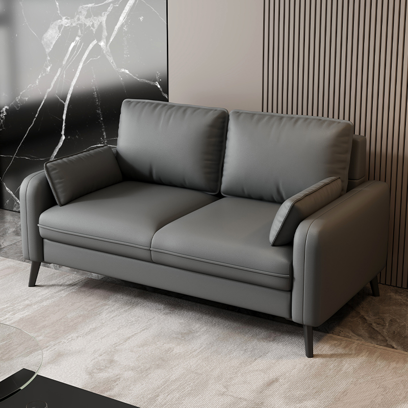 客厅沙发2025新款服装店出租房休息区卧室小户型轻奢简约双人沙发