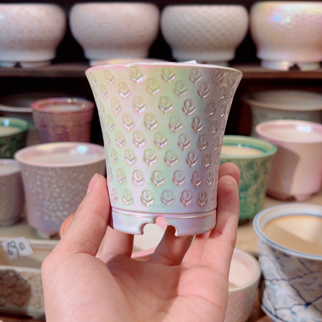 瓷片dy0304-045M安娜