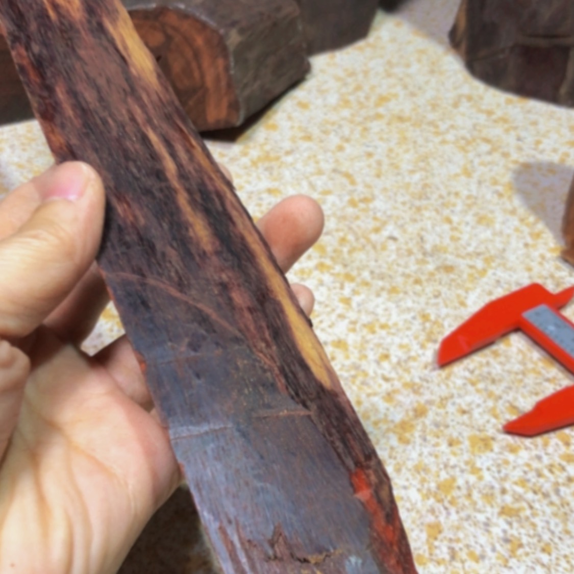 【闪购商品】檀香紫檀（小叶紫檀）林*