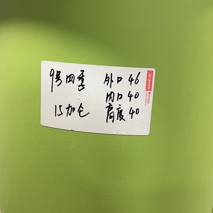 特价9号四季口46高40果绿2只无托