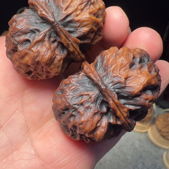 文玩核桃把件鬼脸蟾45mm