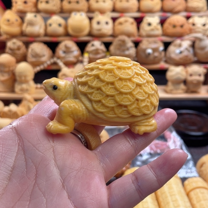 竹都**了金钱龟福利zzzzzzzzzzzz