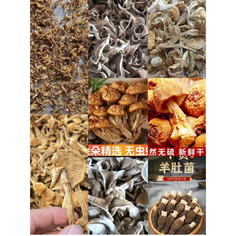 备用链接   高端品质   香菇菌子   现收山货