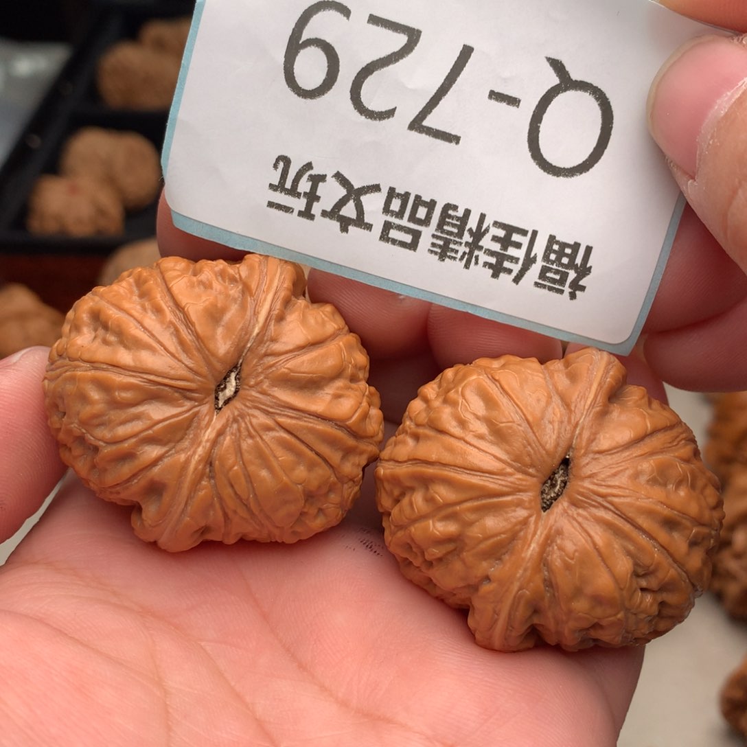 文玩核桃把件42元宝…………