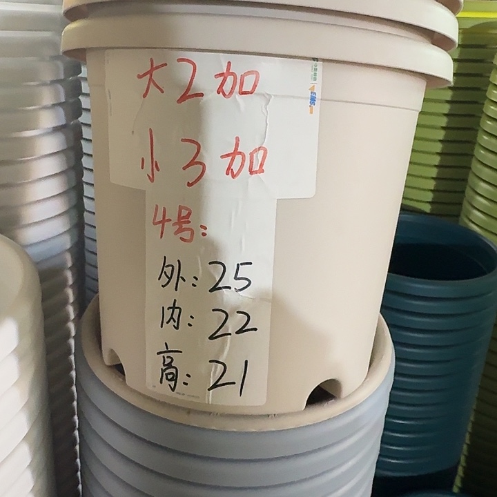 四季4号灰白无托10个特价