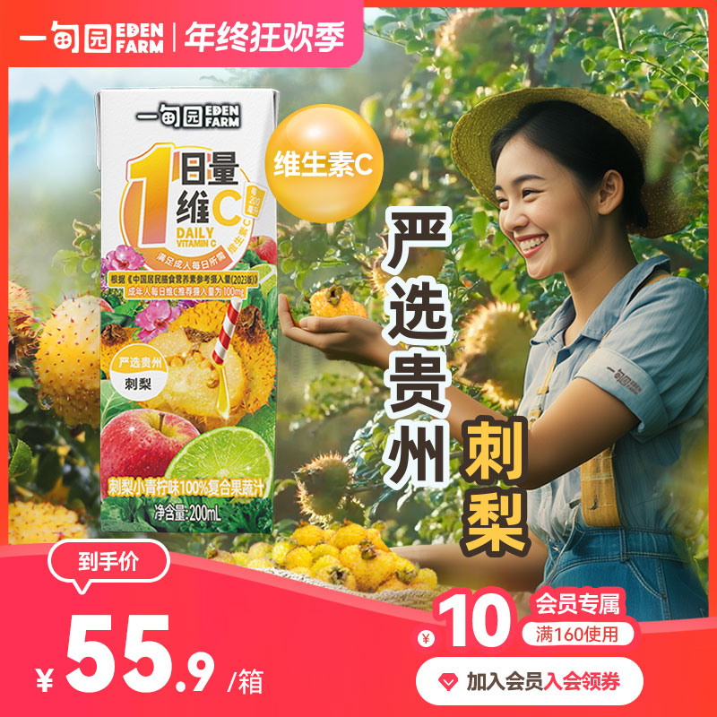 一甸园 地域限定贵州刺梨小青柠味100%复合果蔬汁200mL*10盒