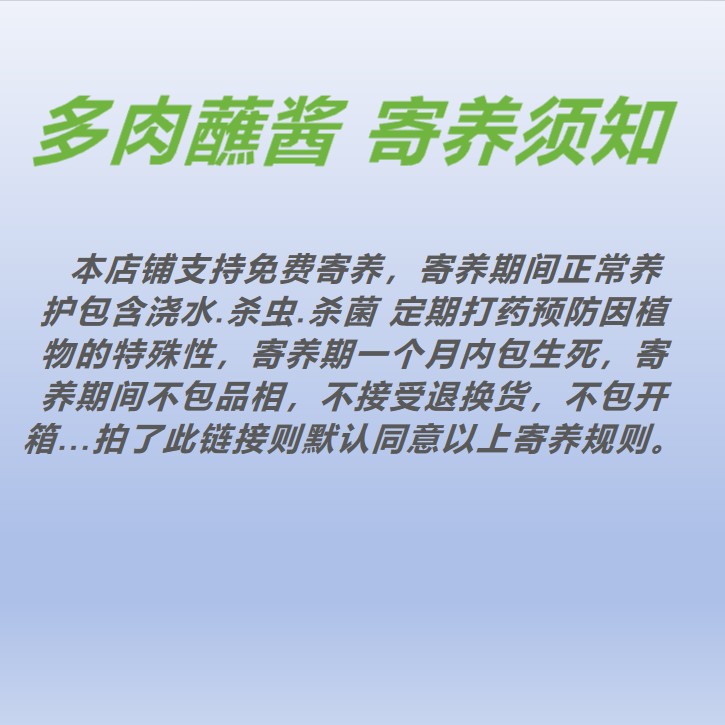 多肉蘸酱寄养多肉规则
