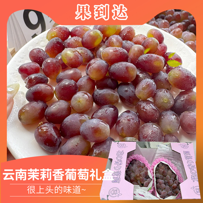 【礼盒】云南茉莉香葡萄单箱2-4串净重1.7斤左右