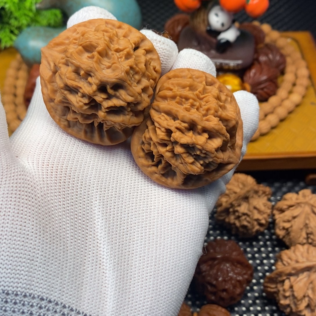 别***5秦岭山地核桃龙鳞官帽