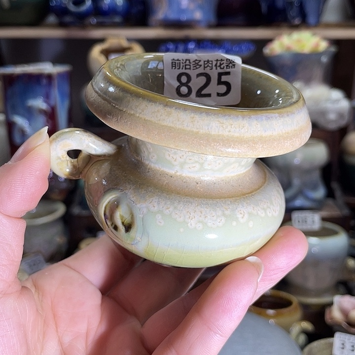 狼盆内口径6高度6