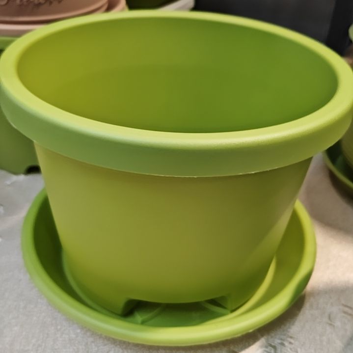 树脂球根三号外口径25.5，果绿带托5个