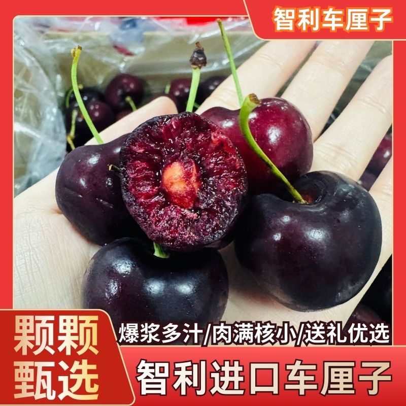 【3JD】顺丰次日达 800g智利空运桑提娜车厘子 脆甜多汁 W30 内附果径卡桑提娜樱桃智利共和国