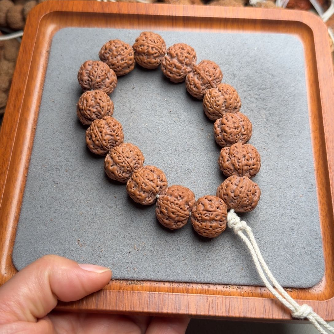 绿***山菩提菩提32号尼泊尔大金刚21+满肉蜂王