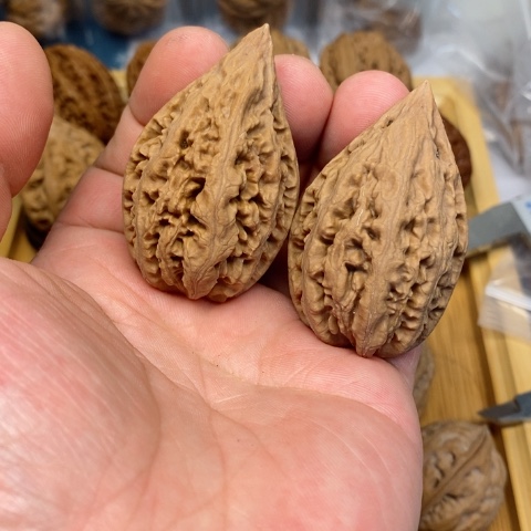 桃核把件34东北秋子核桃