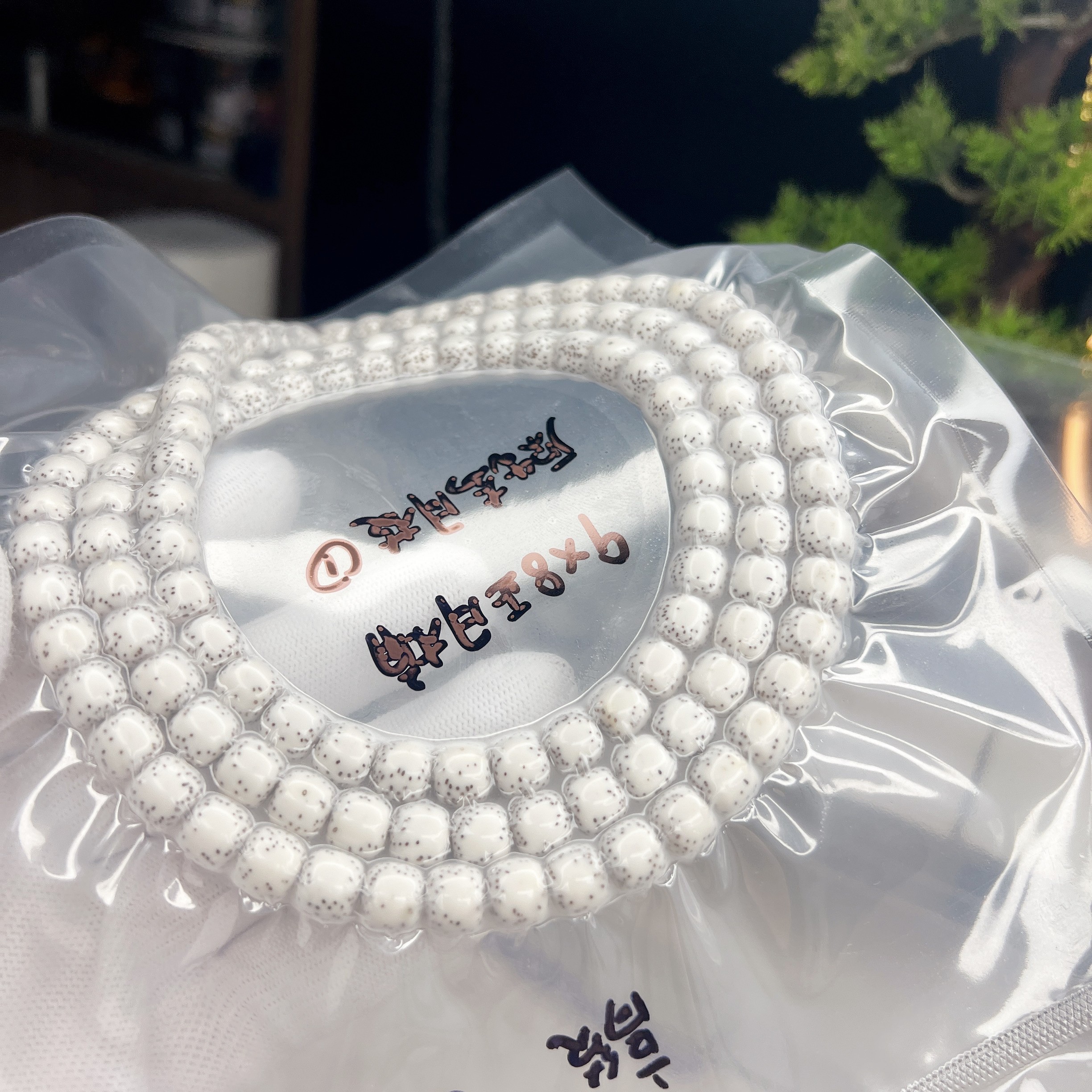 星月菩提 原生态9*8原脂白桶型 正月 大留白 星细 