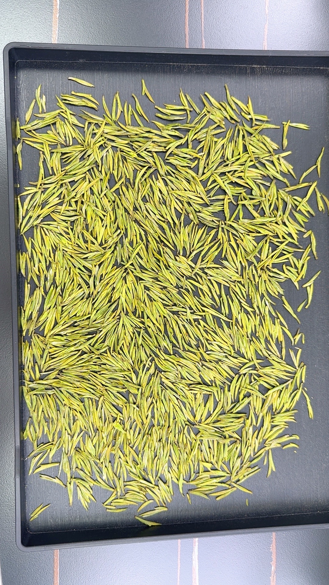 【2025高山兰香A99】安吉原产地高山茶头春头采安吉原产地白茶