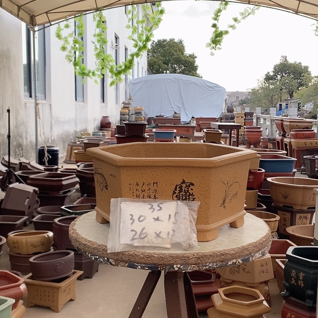 紫砂花盆紫砂花盆