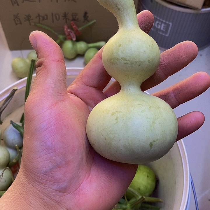 a****.长嘴更好哈哈哈哈哈哈哈哈哈哈