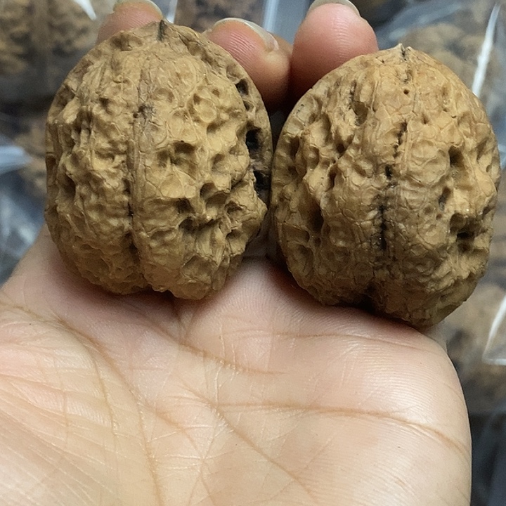 文玩核桃把件云南铁核桃基地9