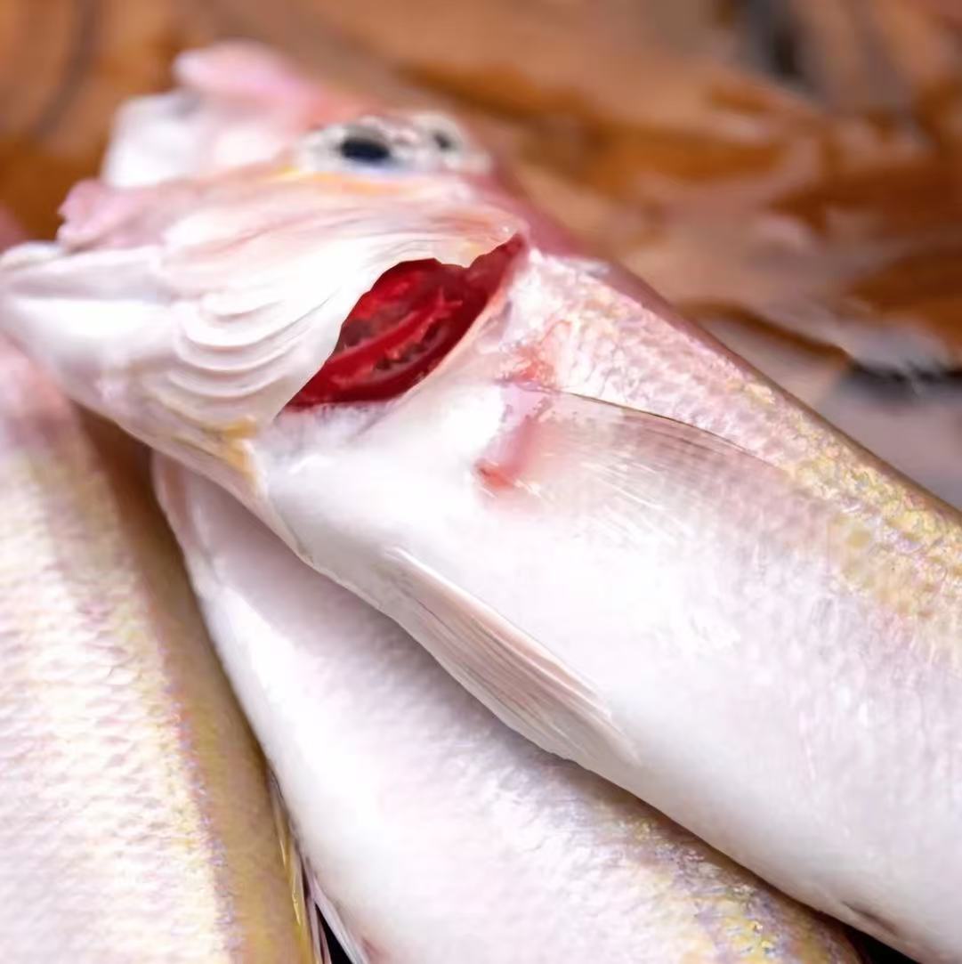 马头鱼 海鲜/海鱼以直播为准顺丰包鲜到家