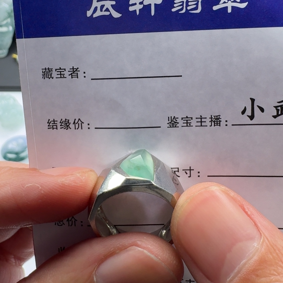 翡翠未镶嵌颈饰     39