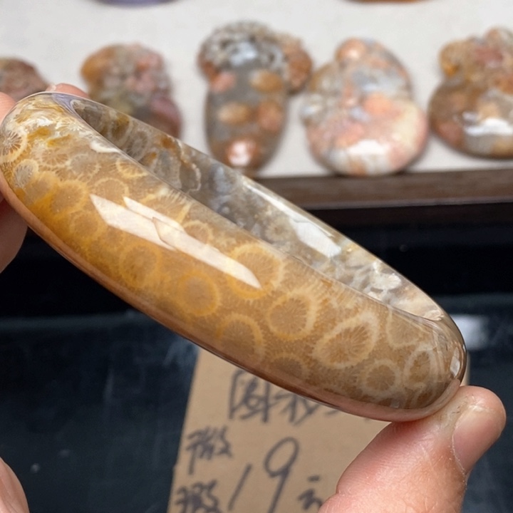 硅化珊瑚（珊瑚玉）手镯未镶嵌62