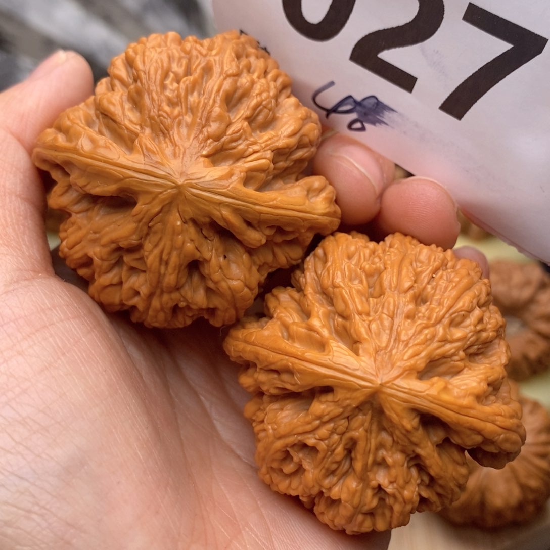 文玩核桃把件027号48粗筋