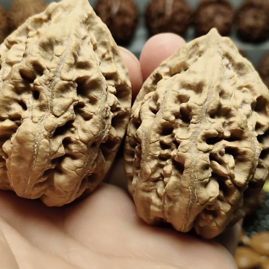 文玩核桃吊坠大楸核桃6号