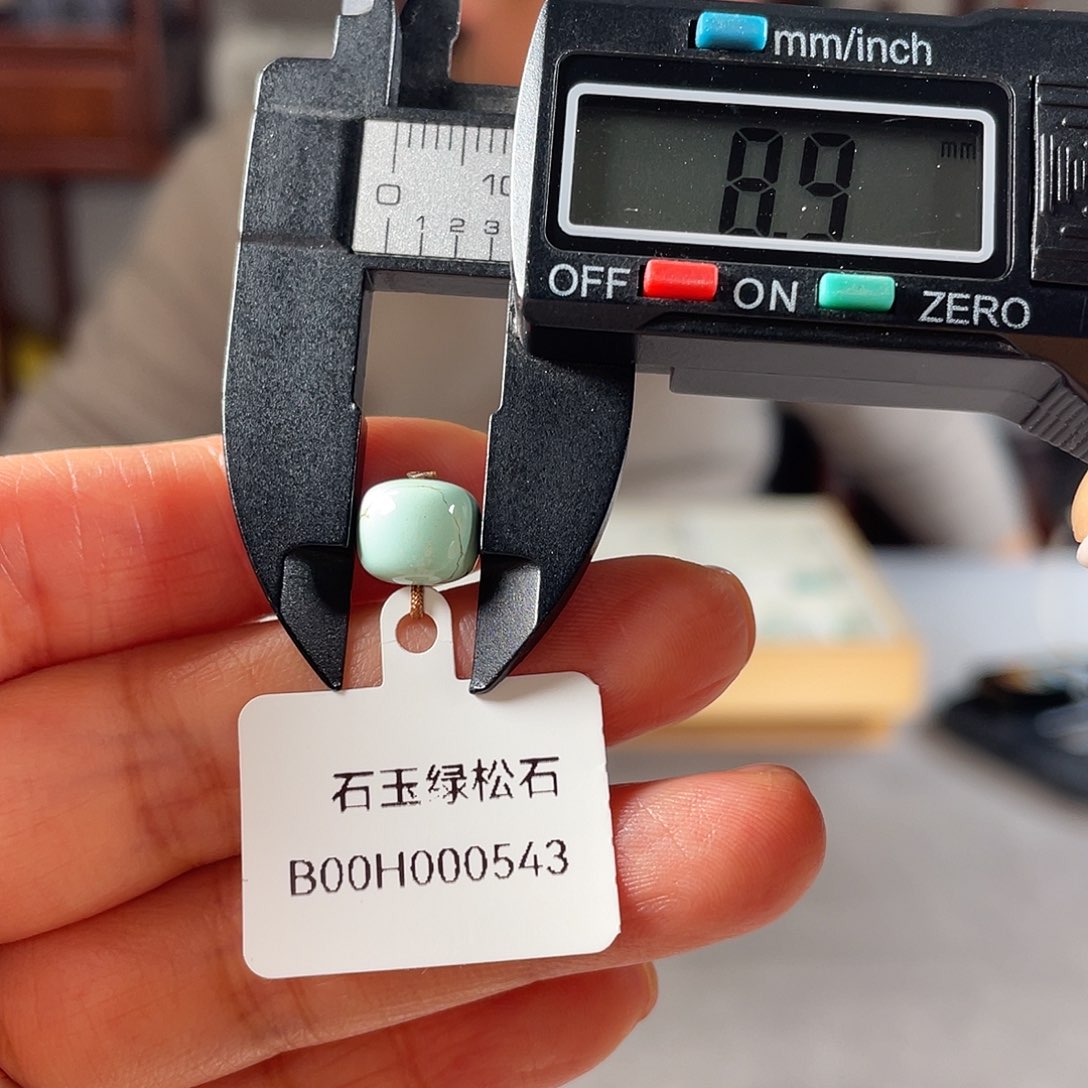 绿松石颈饰未镶嵌