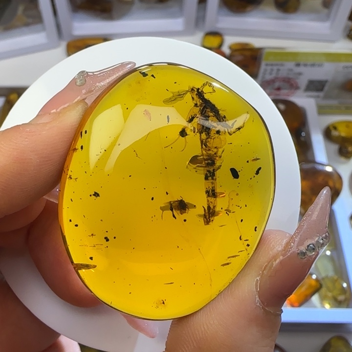 金***主琥珀未镶嵌裸石虫珀标本