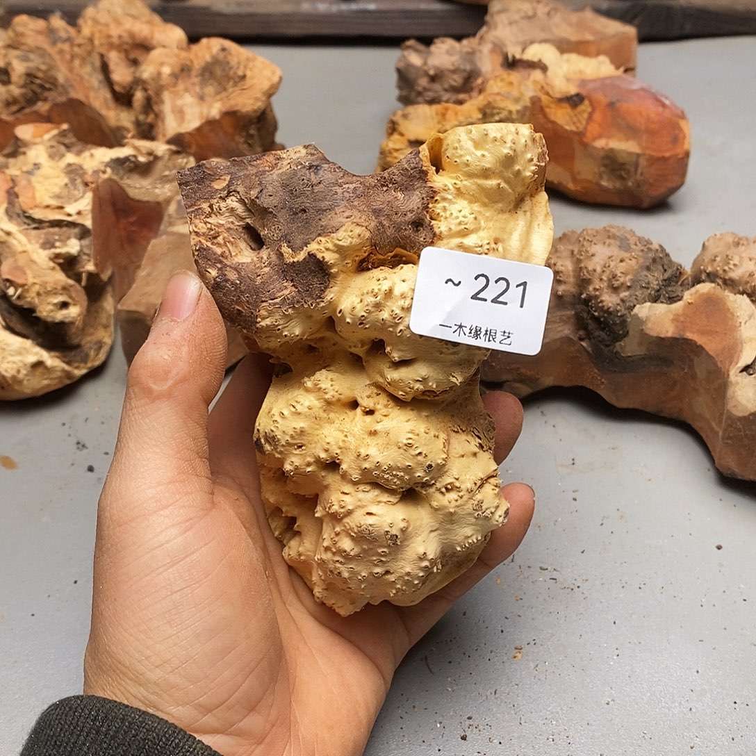 杰***捷无花朵          221