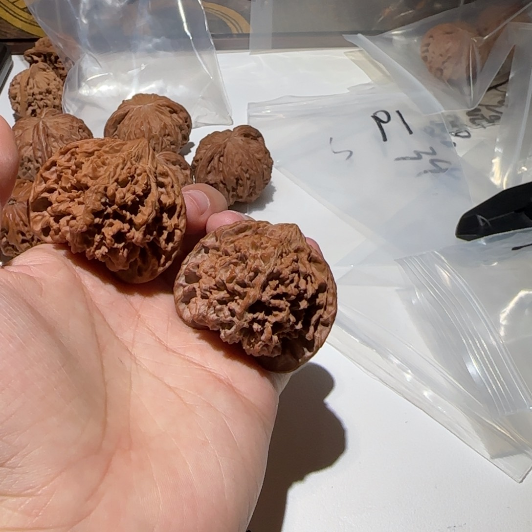 吊坠文玩核桃47全品满天星