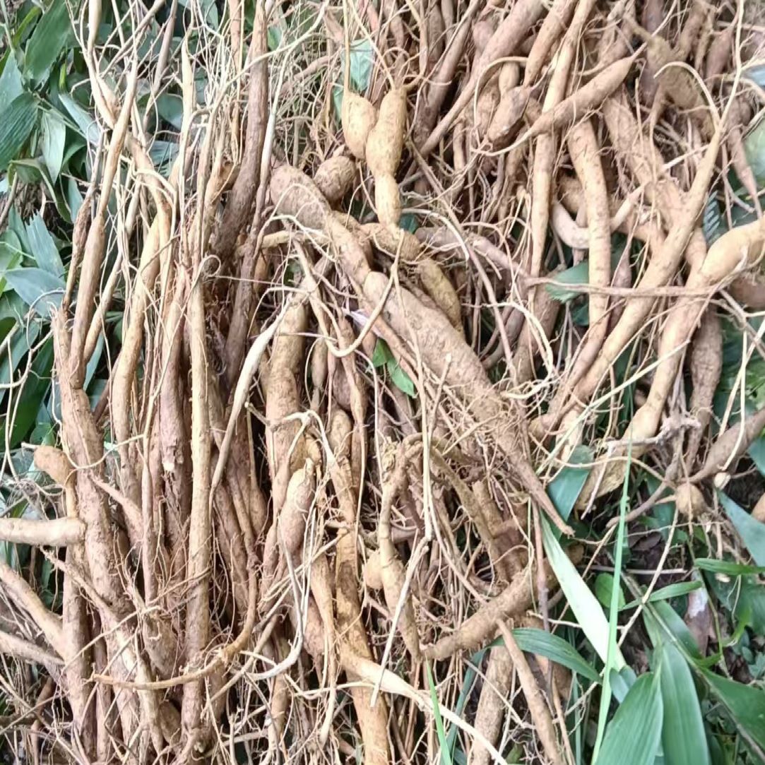深山老林纯野生山货干货小叶甘草折耳根人参牛可煲汤可泡酒