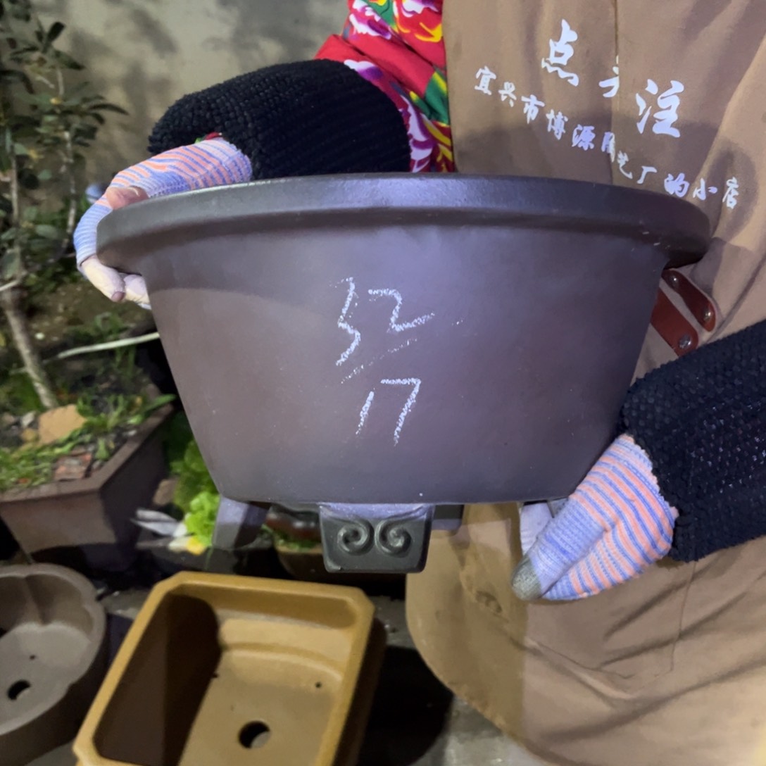 紫砂花盆盆景艺术