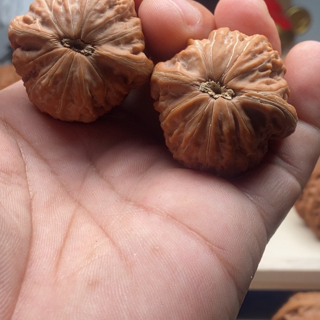 东***-木质类铁锤狮子头