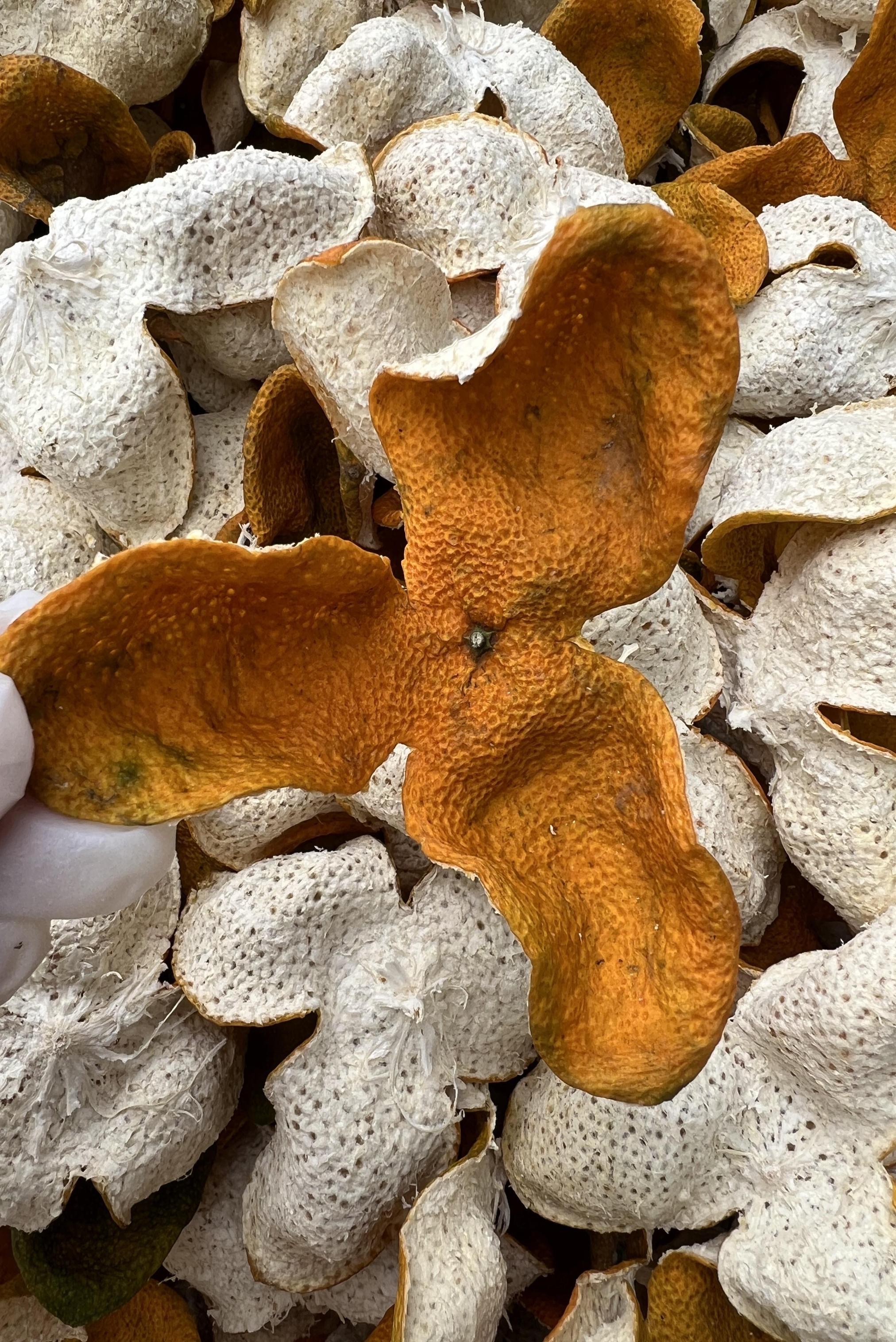 【茶坑大红】正宗新会陈皮2025年茶坑圈枝大红皮