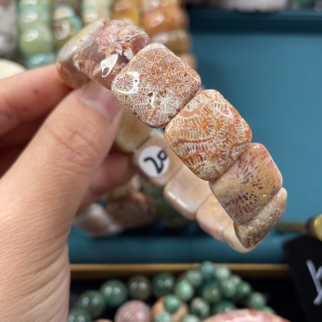 未镶嵌手镯硅化玉