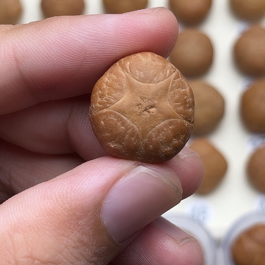 咖***想吊坠凤眼菩提5星打孔不退换