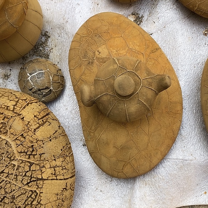 绝***草去付吧哥谢谢谢谢