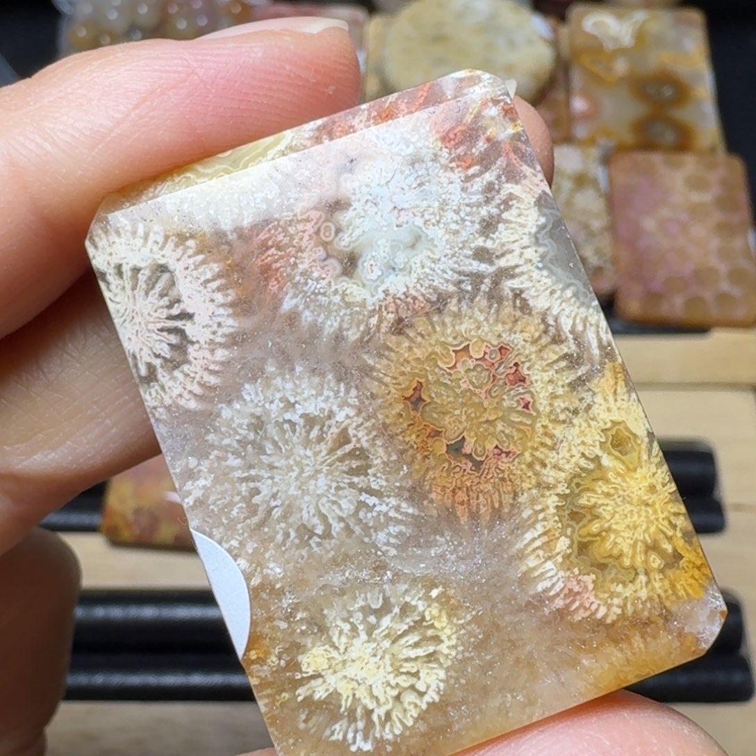 硅化玉重生花之彩烟花未镶嵌