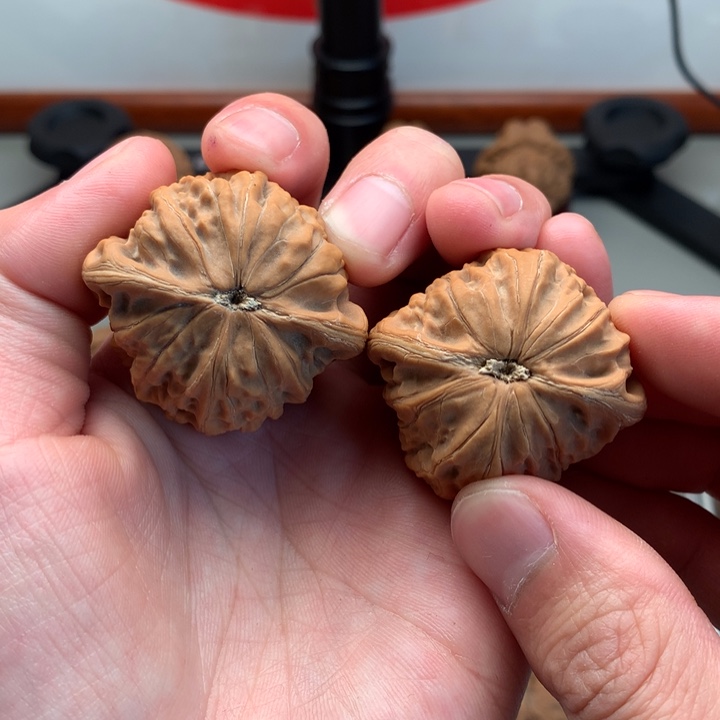 桃核把件知**了40精品铁锤