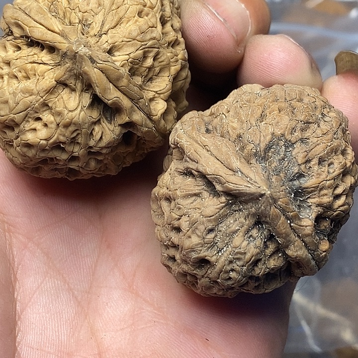 文玩核桃把件云南铁核桃86