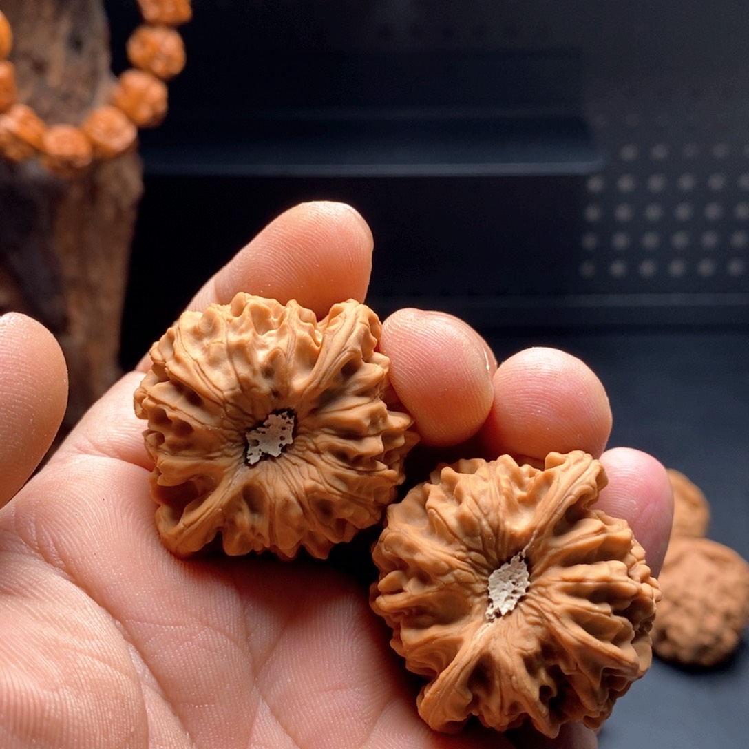 .***.41全品龙门见888888888888