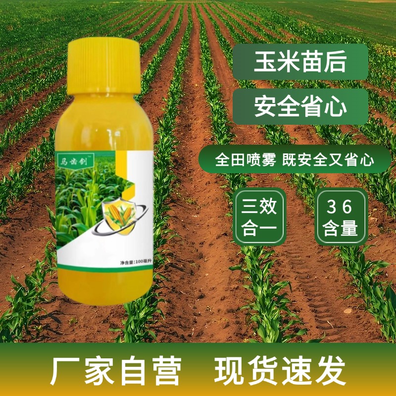 玉米地专用苗后2到8片叶全田喷雾打匀效果好茎秆粗壮有机质