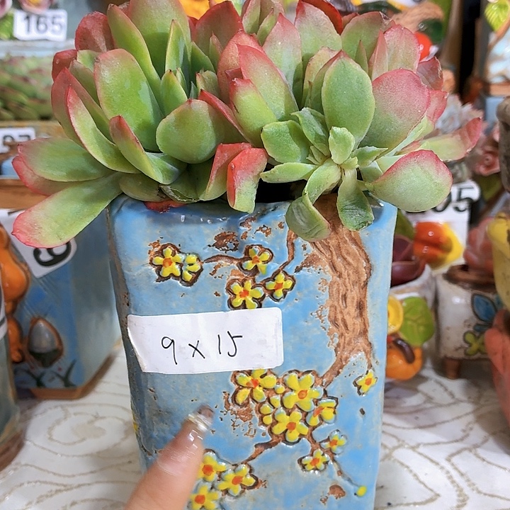 多肉花盆，满15包邮