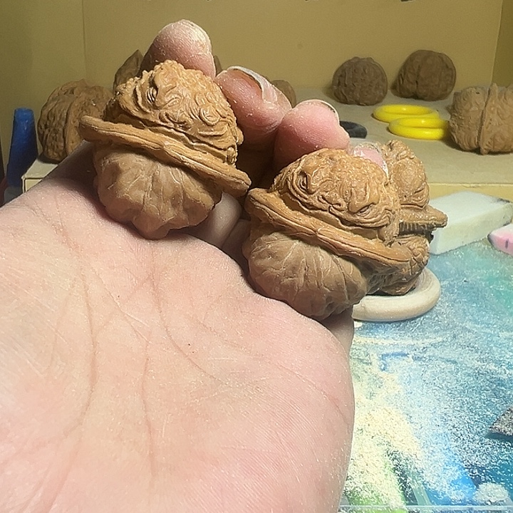 伊***娃龙蟾小尺寸好好好