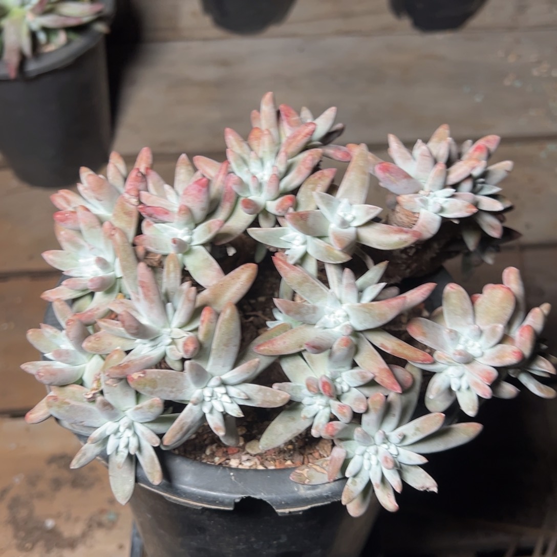 2734哈哈哈哈哈哈哈哈哈