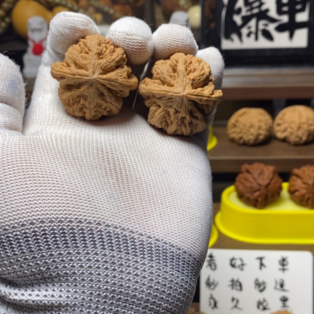 吊坠桃核全品无修39大粗筋